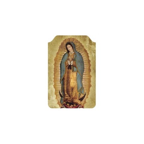 Virgen de Guadalupe (Completa)