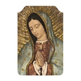 Virgen de Guadalupe (Busto)