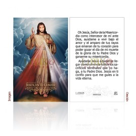 Señor Misericordia (Jesús en ti confío)