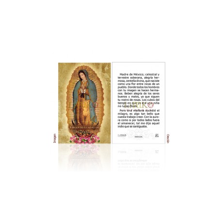 Virgen de Guadalupe