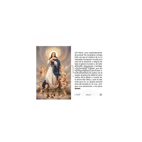Inmaculada Concepción