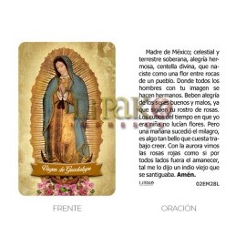 Virgen de Guadalupe