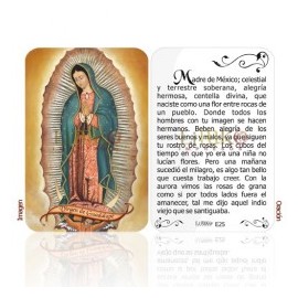 E25 virgen de guadalupe