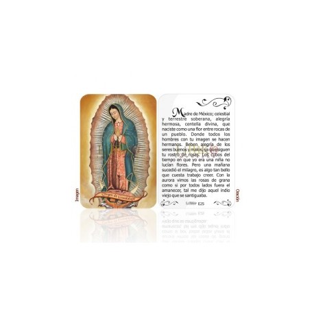 E25 virgen de guadalupe