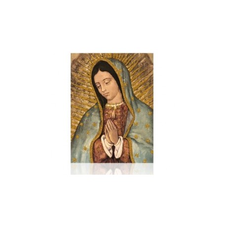 Virgen de Guadalupe (busto)