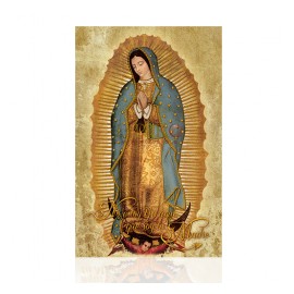 Virgen de Guadalupe (completa)