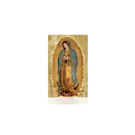 Virgen de Guadalupe (completa)