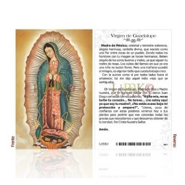 Virgen de Guadalupe (completa)