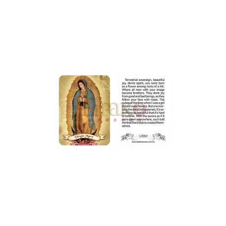 Virgin Mary