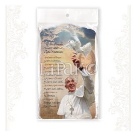 Papa Francisco Visita A México