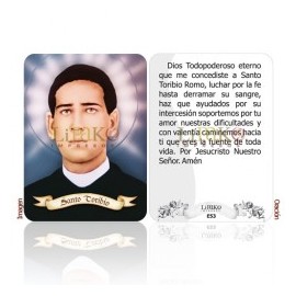 Santo Toribio