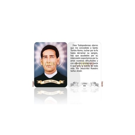 Santo Toribio