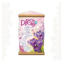 Milagro de Dios