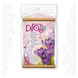 Milagro de Dios