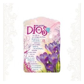 Milagro de Dios